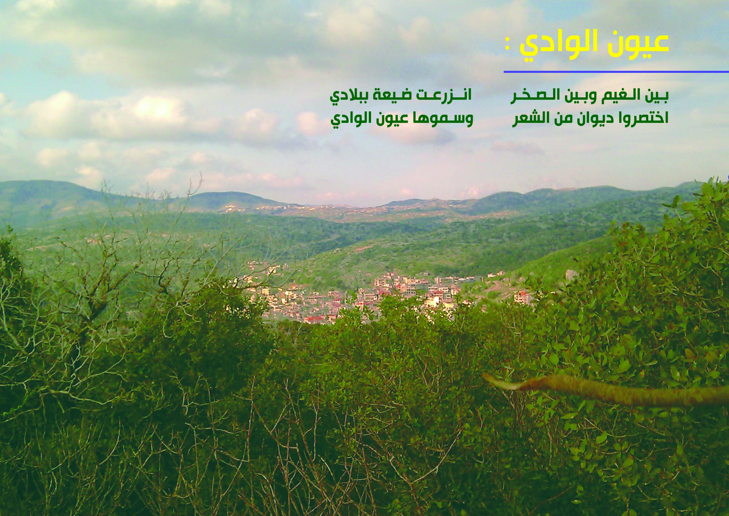 Bio Des Lys : carrefour entre la poésie et la tradition du savon